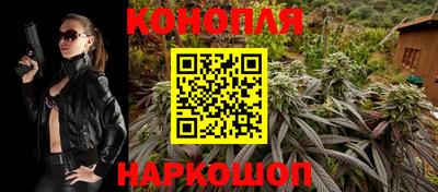 Альфа ПВП Можга