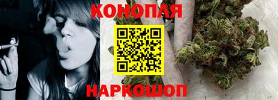 Альфа ПВП Можга