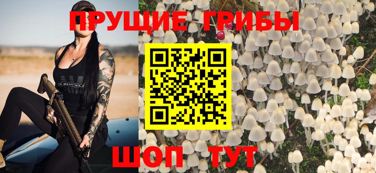 Галлюциногенные грибы GOLDEN TEACHER  Вход с VPN  купить  сайты  Губкин 